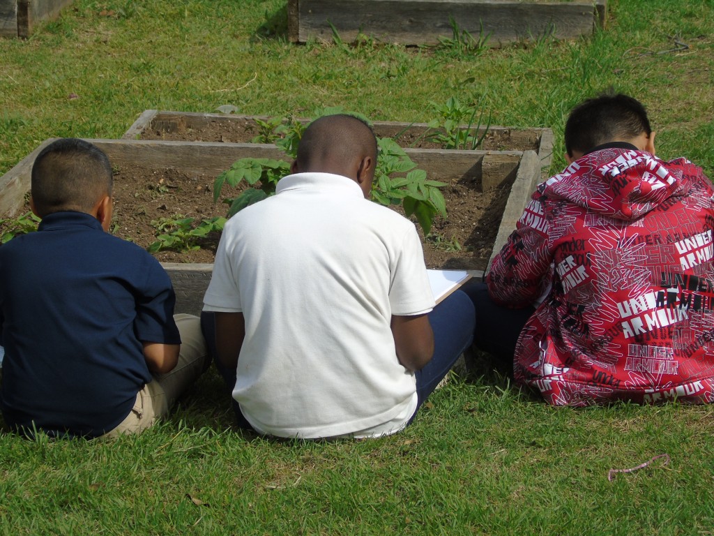 Get you students excited about science - students in garden