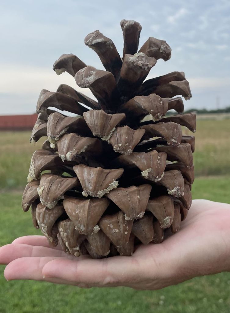 5 ways to get your students excited about science - pinecone