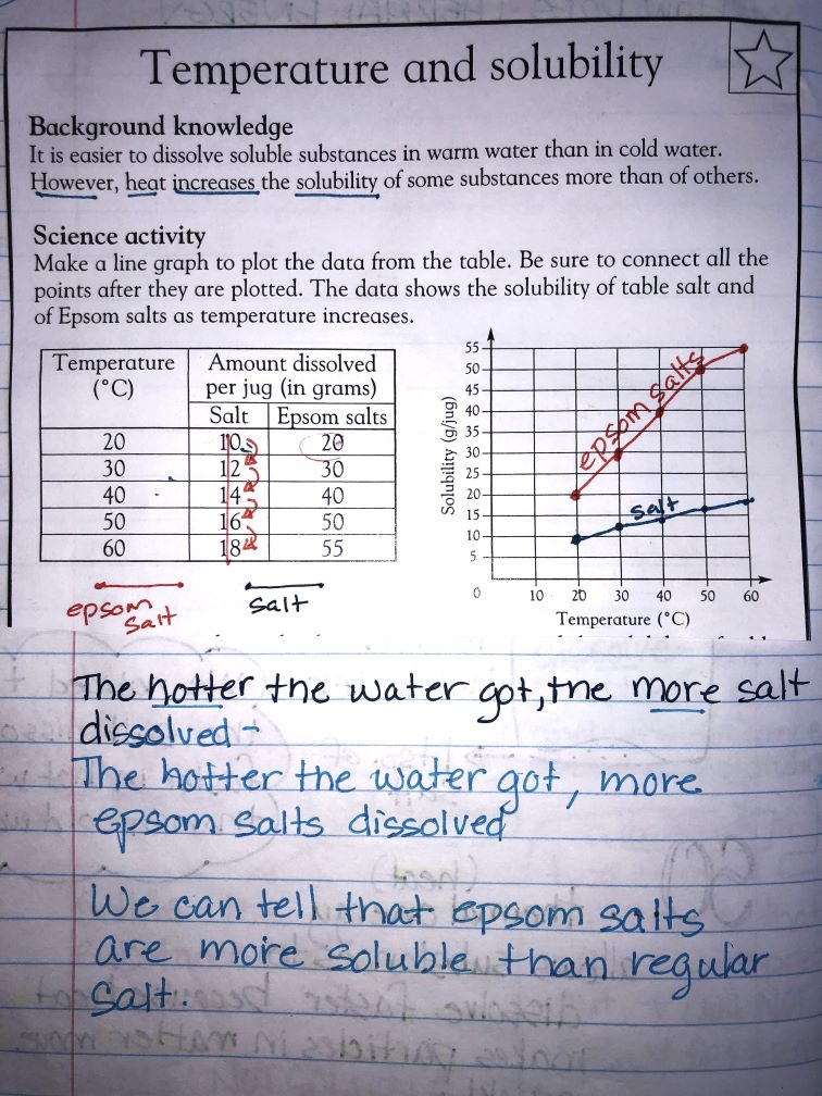 interactive science notebook temperature and solubility lab activity that was completed on worksheet and then glued into journal with notes