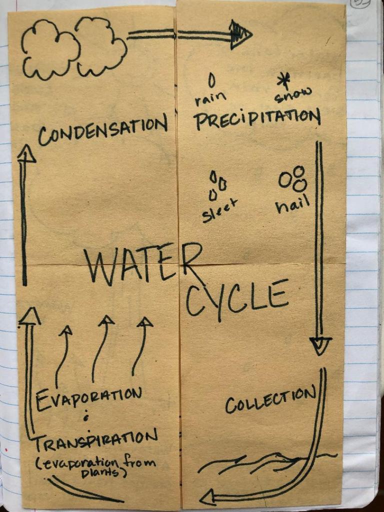 5 activitites to get your students excited about science - water cycle foldable right side